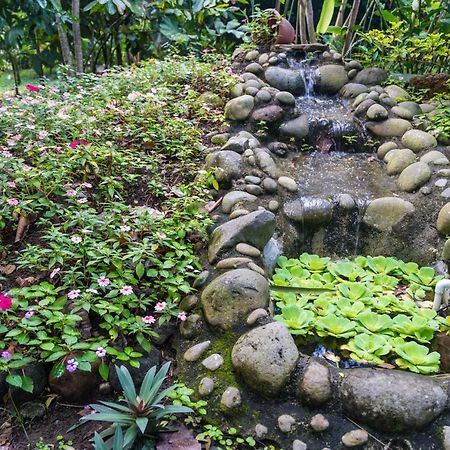 Hotel Vista Del Cerro La Fortuna Ngoại thất bức ảnh