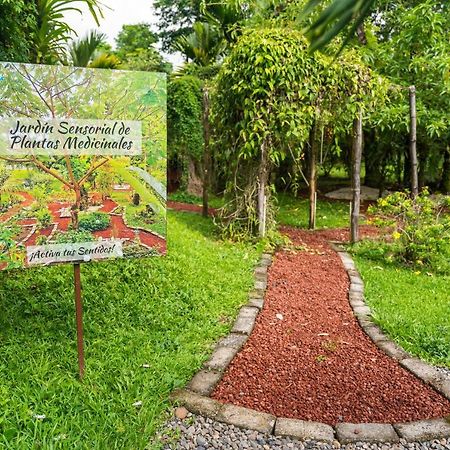Hotel Vista Del Cerro La Fortuna Ngoại thất bức ảnh