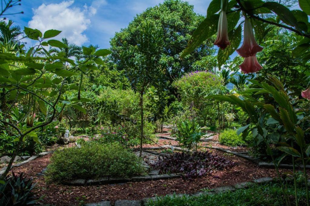 Hotel Vista Del Cerro La Fortuna Ngoại thất bức ảnh