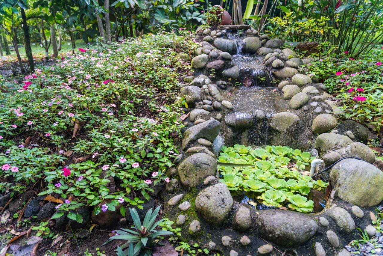 Hotel Vista Del Cerro La Fortuna Ngoại thất bức ảnh