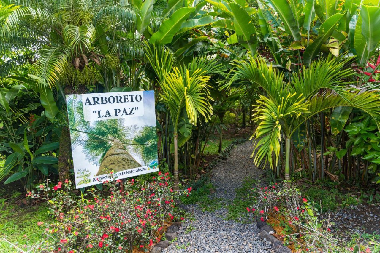 Hotel Vista Del Cerro La Fortuna Ngoại thất bức ảnh